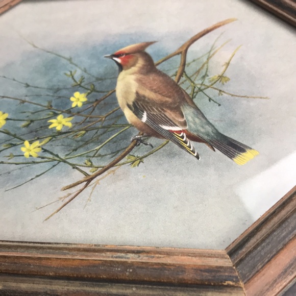 Vintage bird art John M. Karges set of 2 - Picture 4 of 13